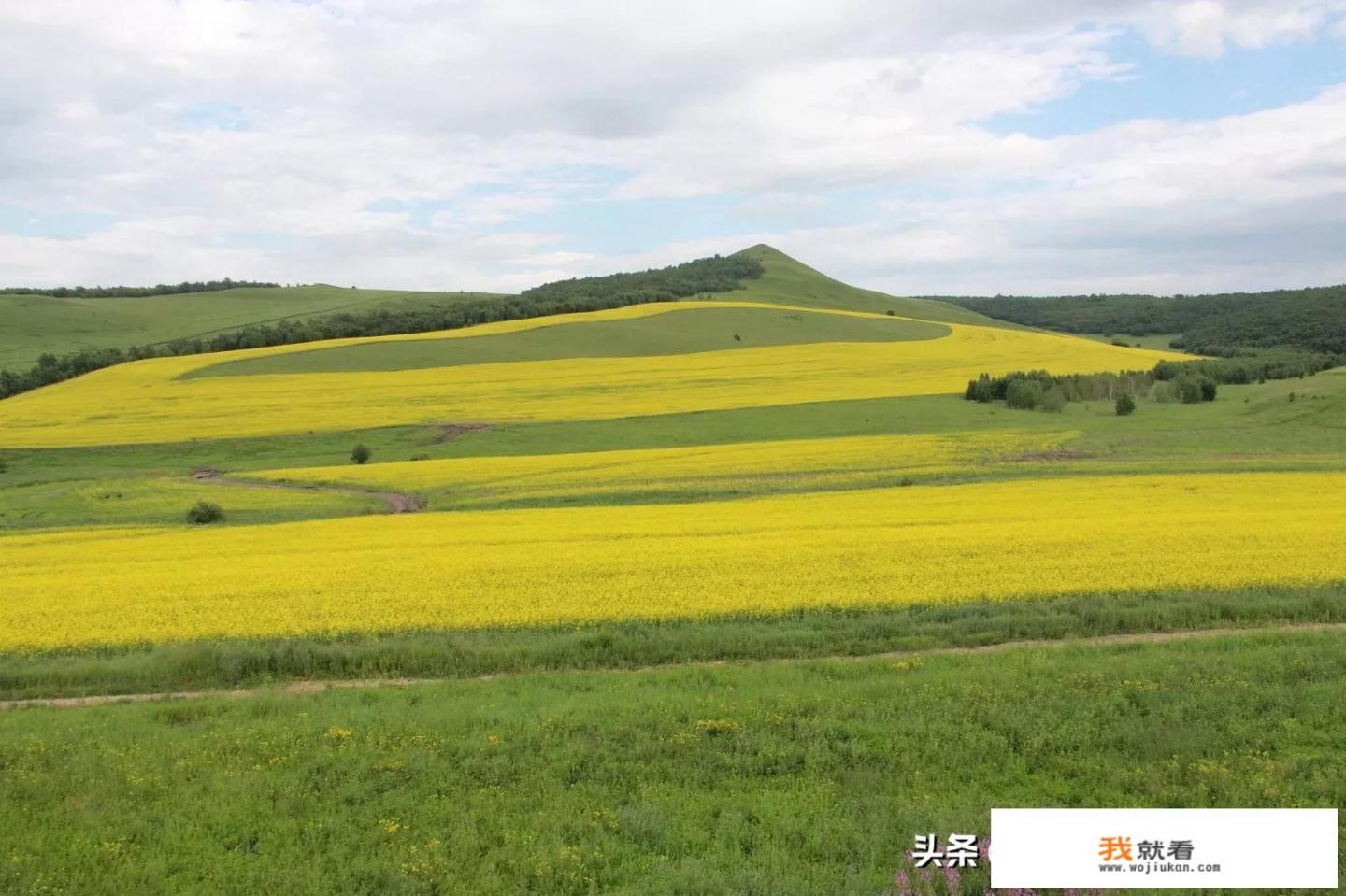 大草原旅游适合去哪儿