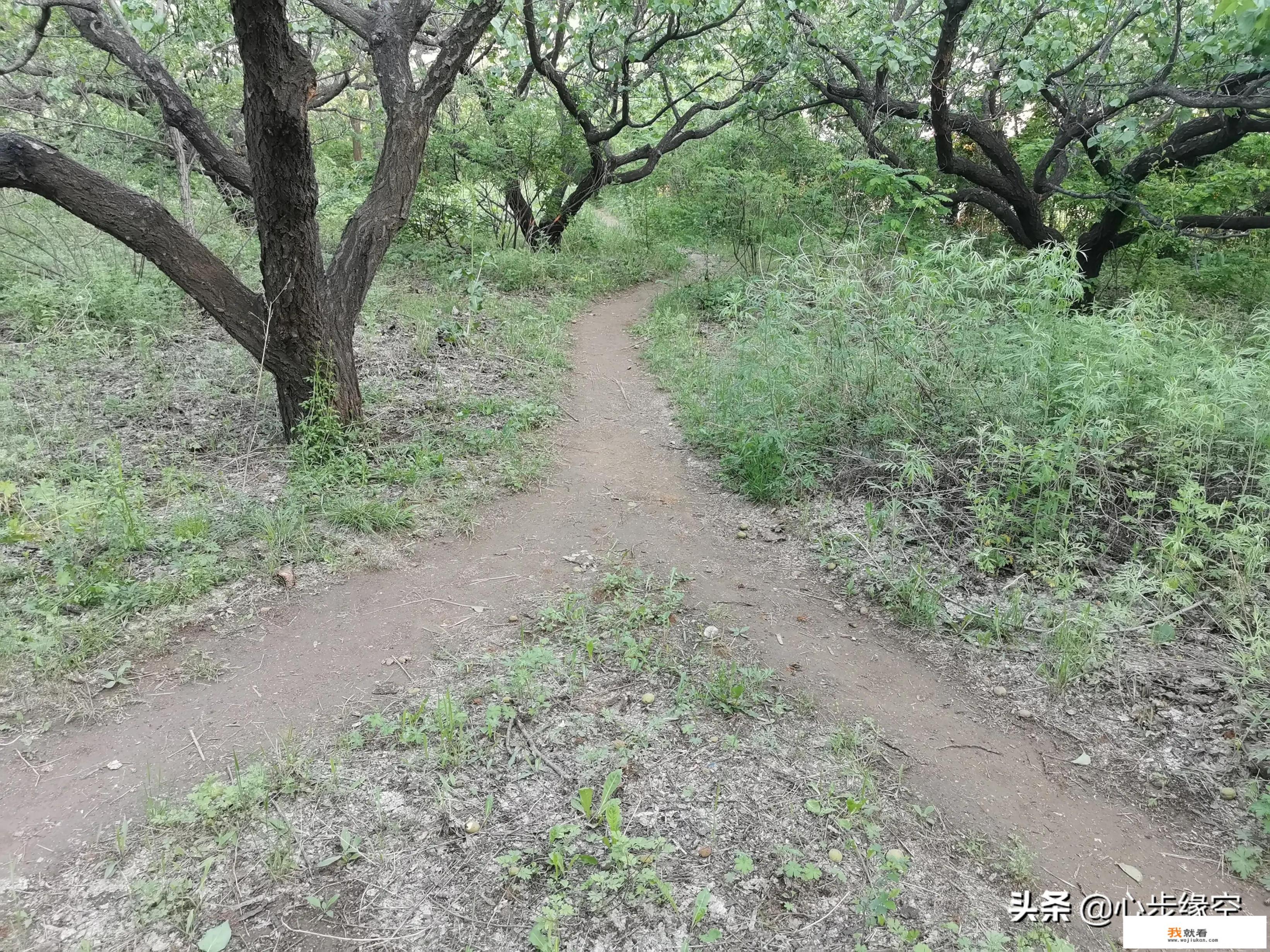 带孩子爬泰山最佳时间和路线