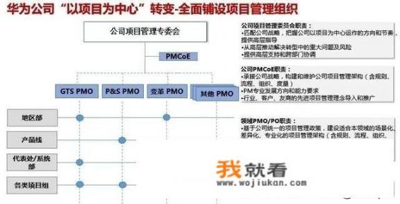 华为做的项目