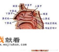 慢性咽炎有什么症状