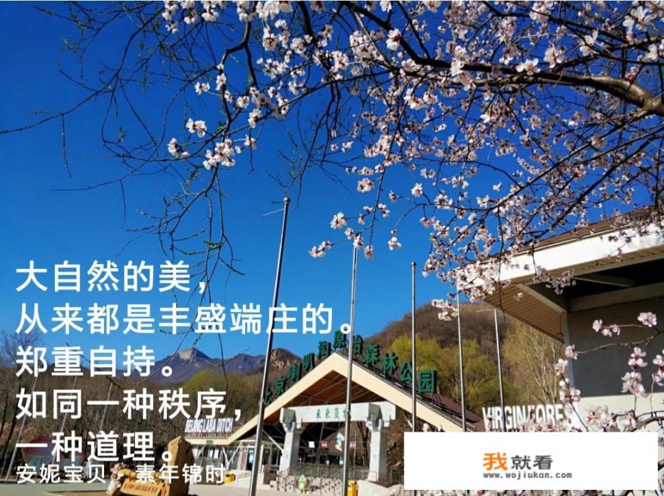 五一旅游，你选择冰天雪地的塞北，还是春暖花开的江南