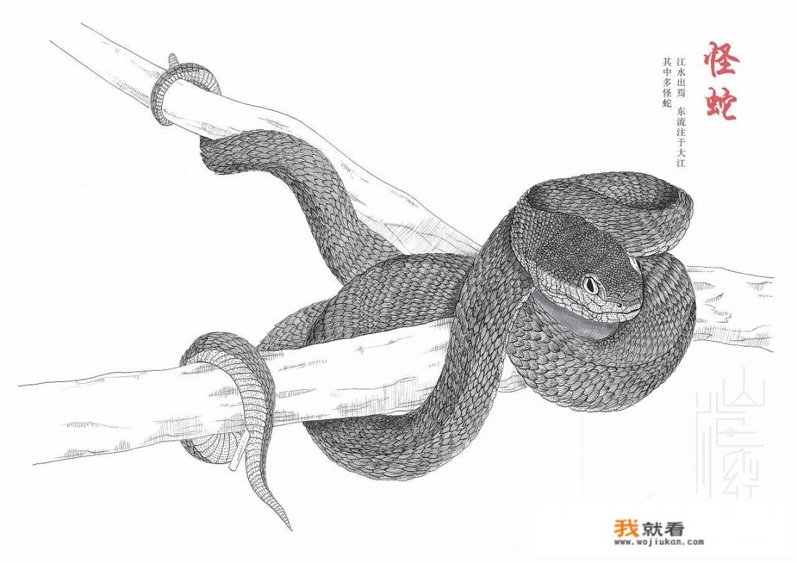 华为真的注册了整本《山海经》吗