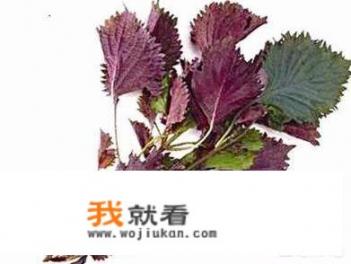 紫苏梗可以驱蚊么
