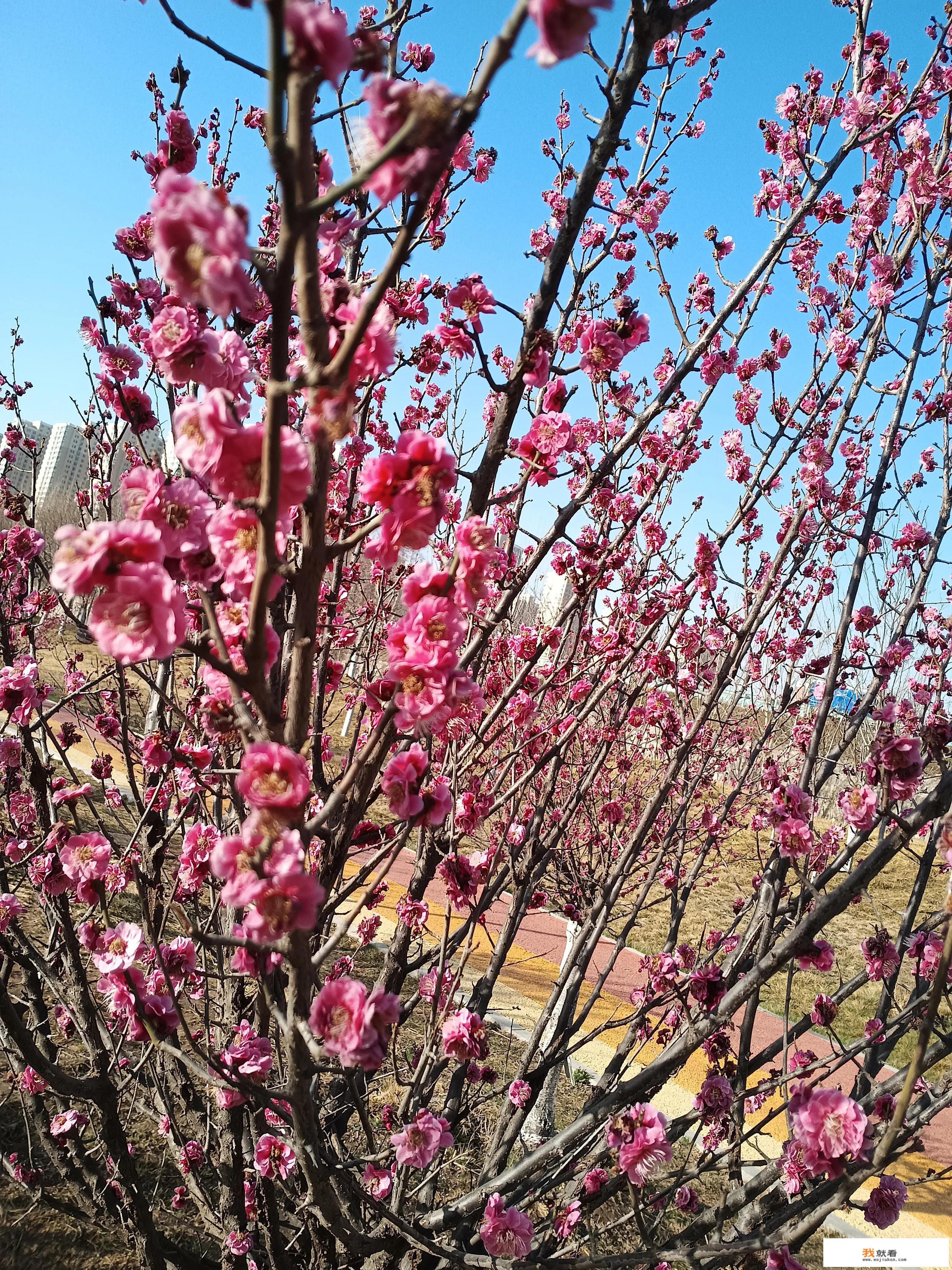 教师狂扇学生耳光，停职停课，反过来谁来保护教师呢