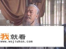 费祎在蜀汉的官职是什么？怎么会被轻易刺杀？