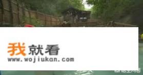 spa在日本叫什么？