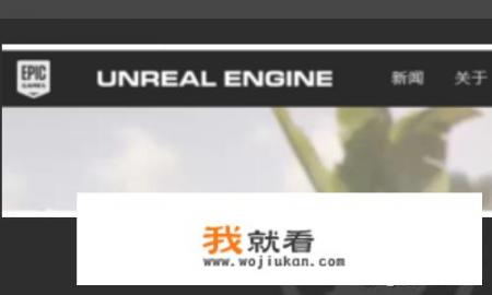 ue4文件是什么格式？