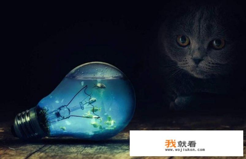 在淘宝买ps怎么样？