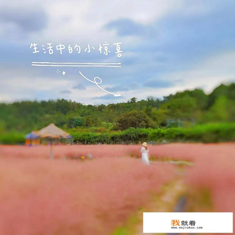 旅游背什么包合适？