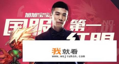 求一本网游小说(主角和NPC相爱)？