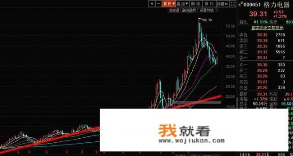 格力电器召开临时股东大会，董明珠表示会“持续分红”，这家公司到底怎么样？