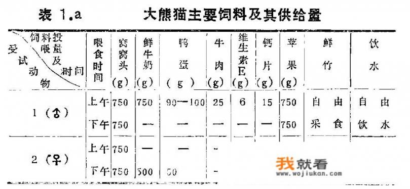 熊猫吃肉吗？