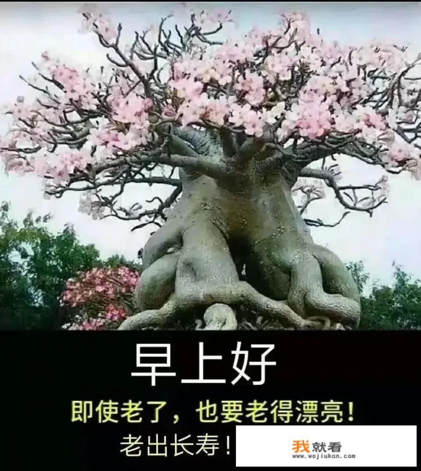 怎么边看快手边玩游戏？