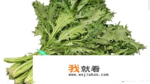 什么品种的芥菜最好？