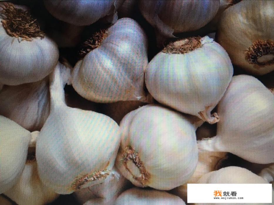 夏季哪些养生菜谱？