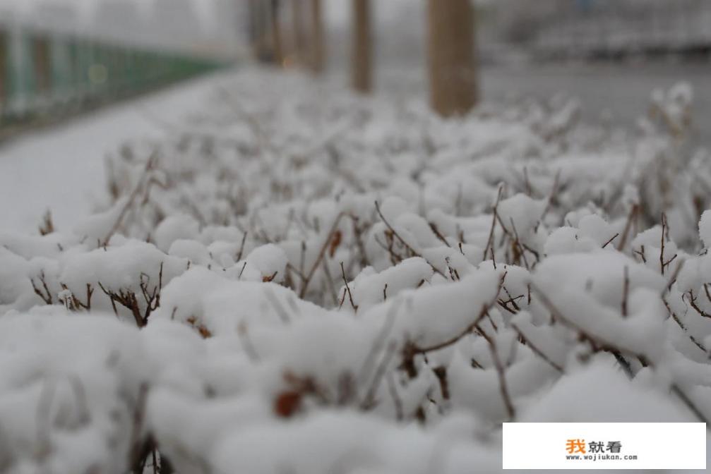 今年五一小长假适合去东北玩雪吗？