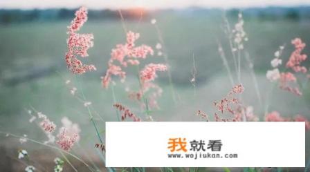 有没有手机测体重的软件啊？