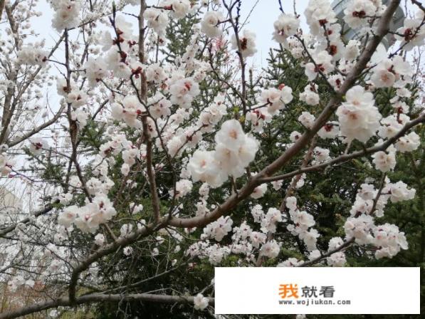 旅游行业产业升级方向和方式有哪些？