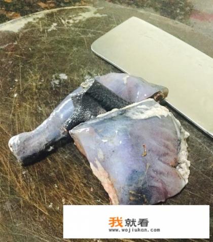 乌鸡怎么炖有营养？
