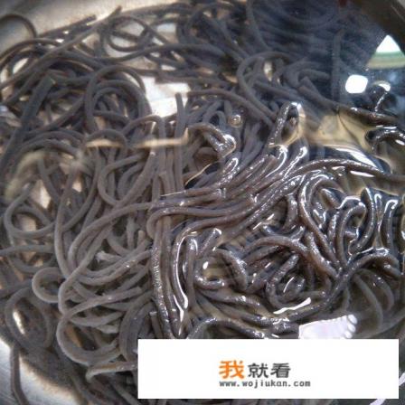 葛根粉丝的做法大全？