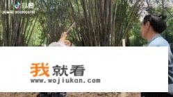 山东三小伙拍低成本武打片，大导演拍一部武打电影真需要几个亿吗？