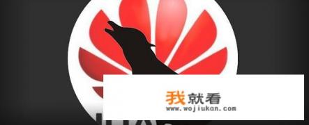 华为心声征婚靠谱吗？