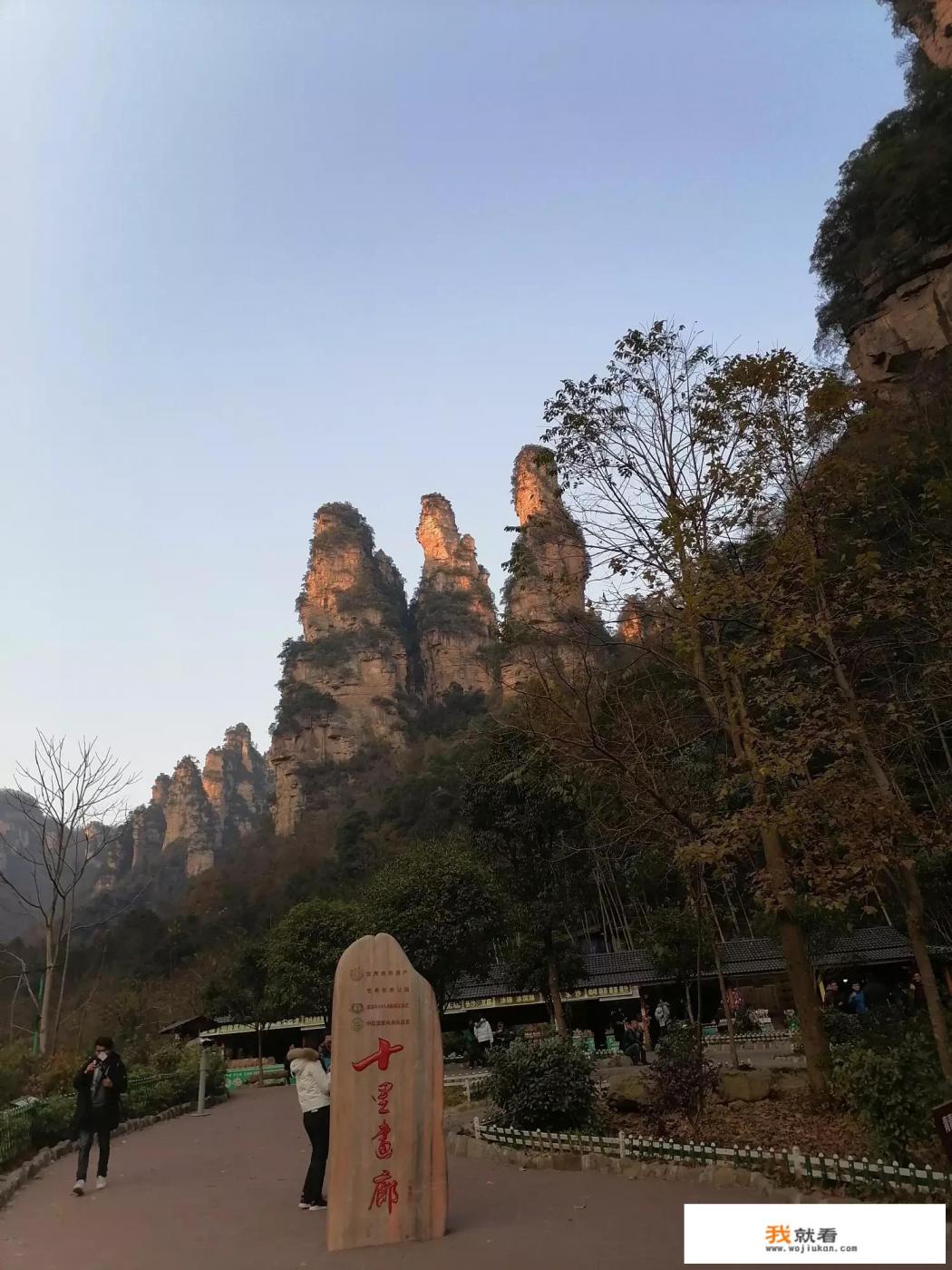 为明星提供旅游服务是种怎样的体验？