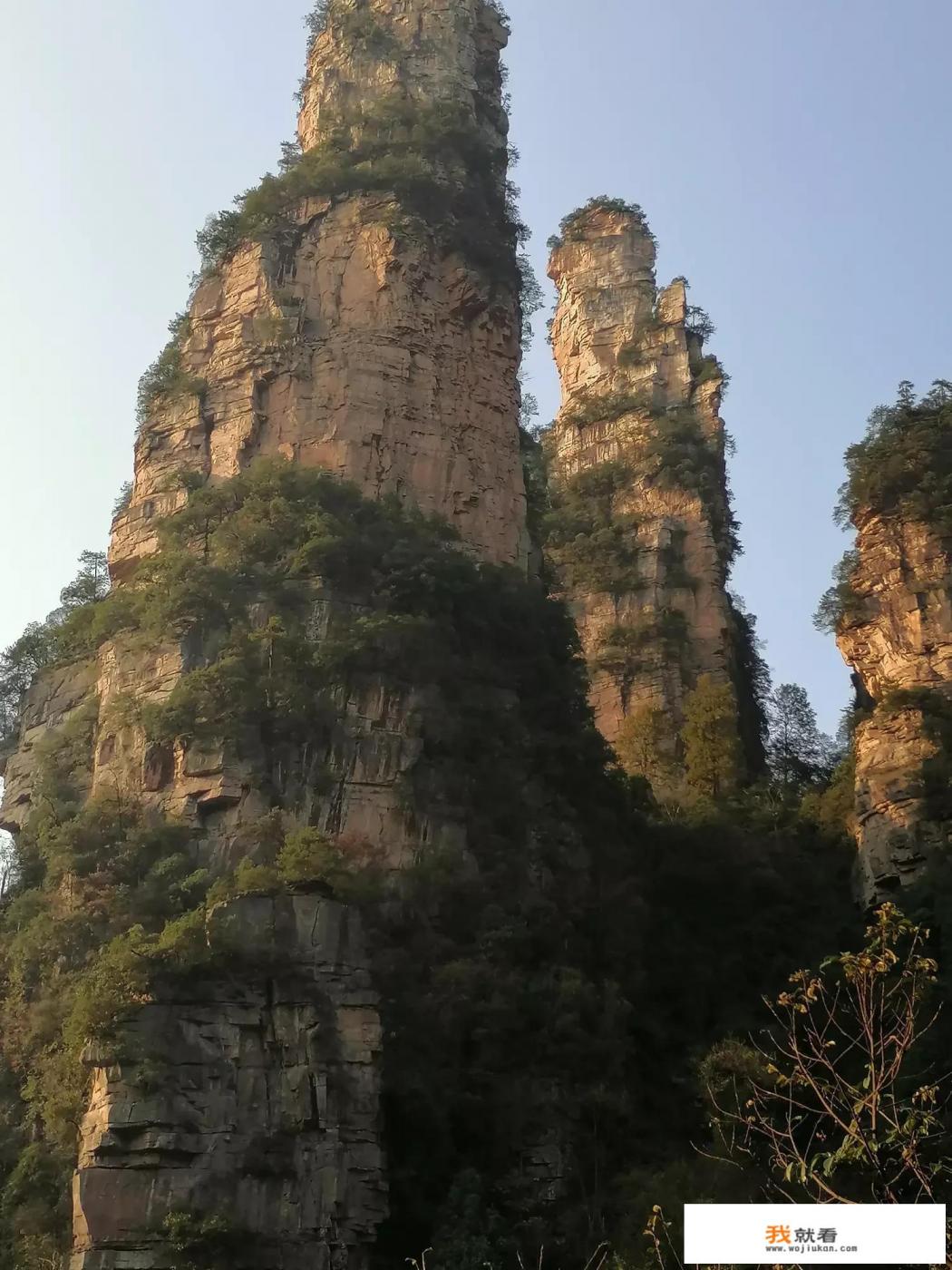 为明星提供旅游服务是种怎样的体验？
