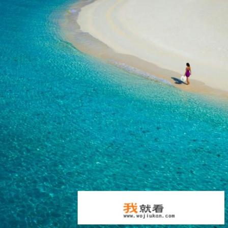 通厕所的叫什么工具？