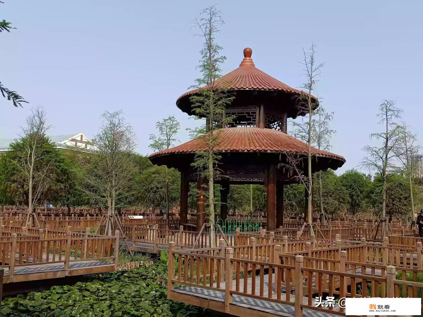 旅游是我唯一的爱好，最近纠结要不要买房，爱好重要还是房子重要？