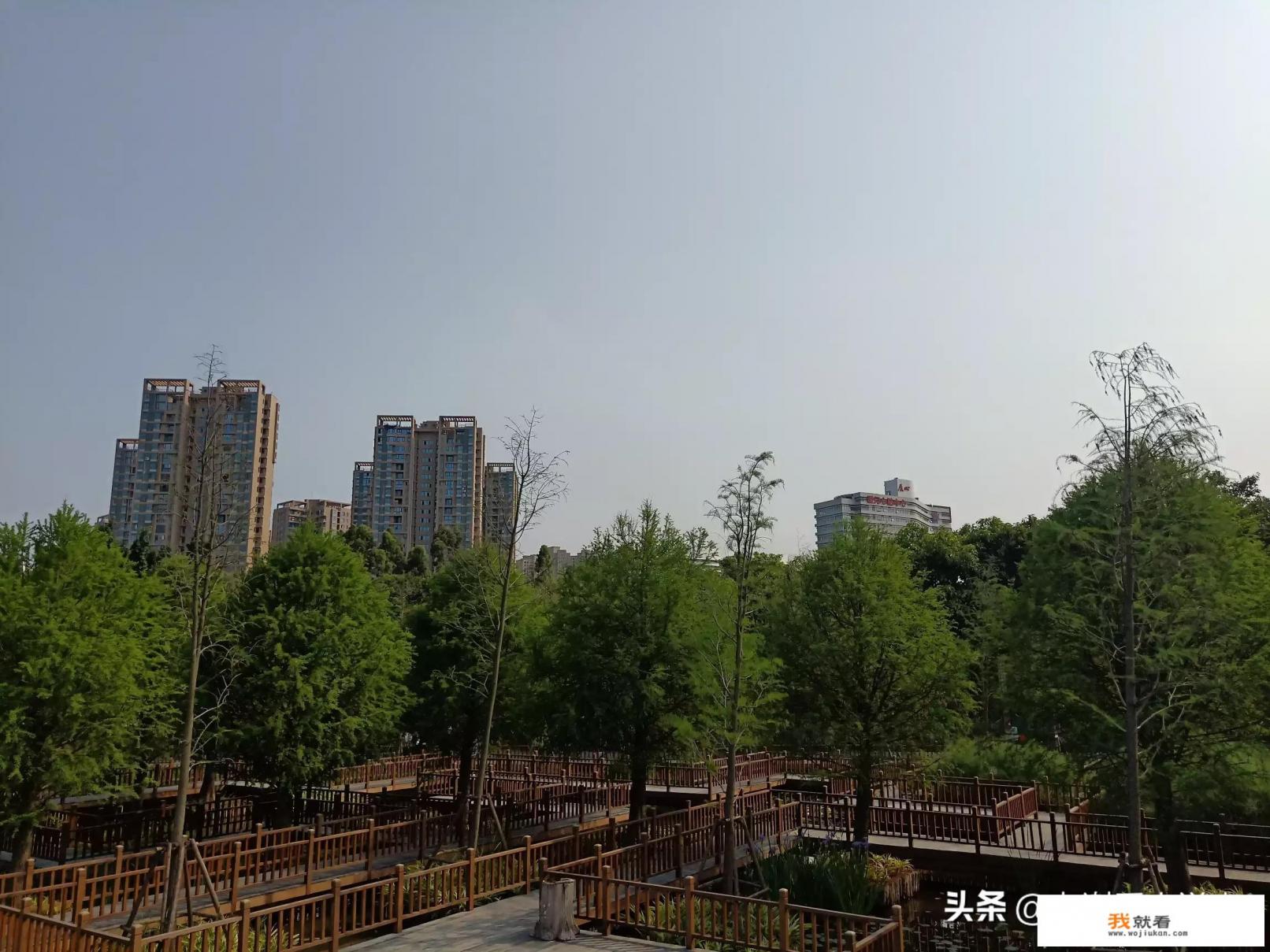 旅游是我唯一的爱好，最近纠结要不要买房，爱好重要还是房子重要？