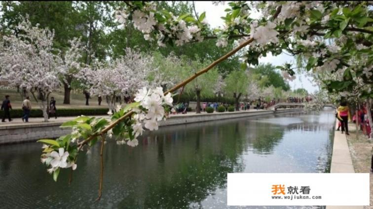 清明小长假你是准备好去旅游吗？有最佳景点推荐吗？