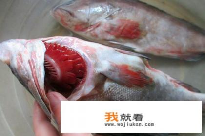 烤鱼的做法烤箱？