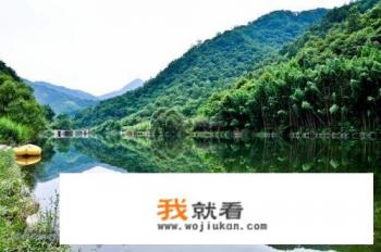 陇南市区附近旅游景点？