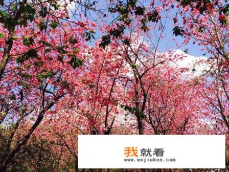 到云南旅游穿什么衣服拍照好看？