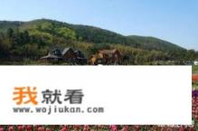 乡村旅游营销创新模式成功案例？