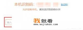 十大免费远程操作软件？