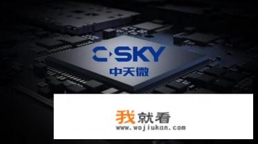如何看待阿里巴巴收购中天微？