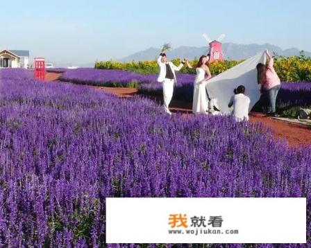 休闲农业与乡村旅游经营的项目有哪些？
