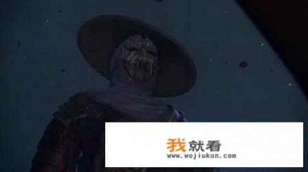 黛妃写的文是什么类型