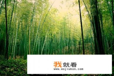 去杭州玩3天，体验类攻略有哪些？
