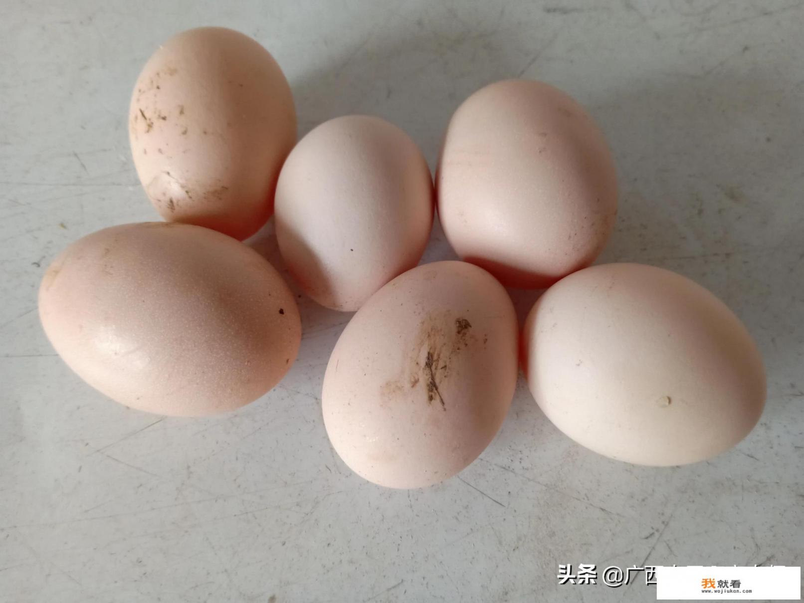 鸡蛋价格预计什么时候能回升？
