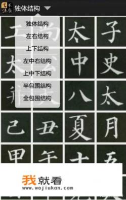 有什么比较好用的书法字典app？