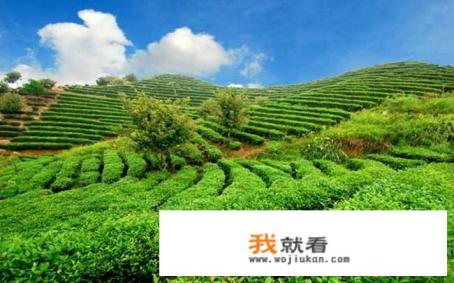 如何将旅游与环保结合为一体？