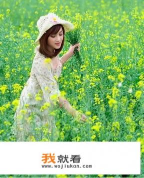 关于研学旅游的论文题目？