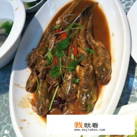 海大头鱼是深水鱼吗？