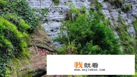 武夷山在哪个省,离哪个城市最近？