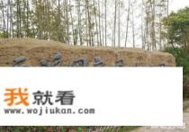 西溪湿地游玩半天时间够吗？