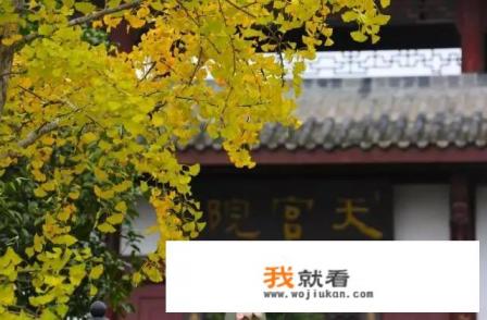 南充哪里拍照好？