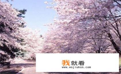 汉江古镇旅游景点？